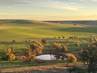66 Chintapee Road, Bringo WA 6532