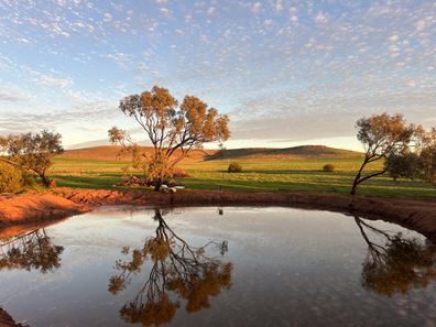 66 Chintapee Road, Bringo WA 6532