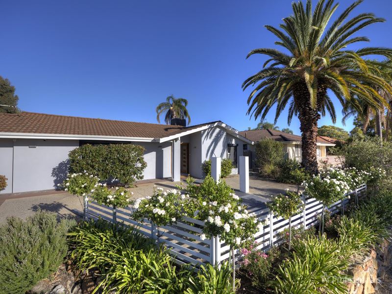 16 Chancery Lane, Alexander Heights WA 6064