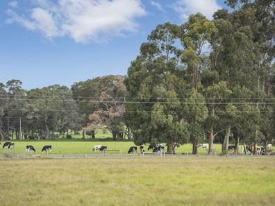 Cowaramup/Lots via Treeton Road, Cowaramup WA 6284