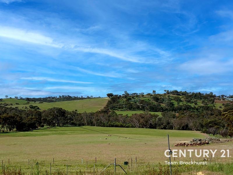 110 Phillips Road, Coondle