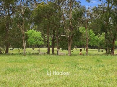 90 Chilvers Place, Boallia WA 6280
