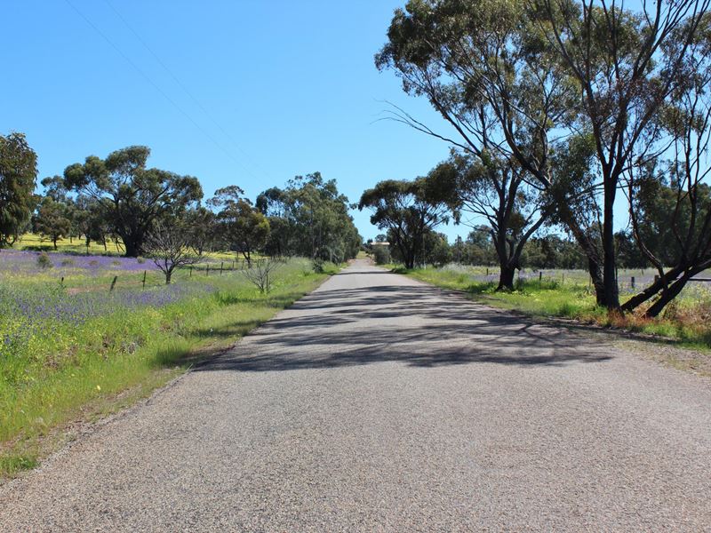10 Moore St, Northam