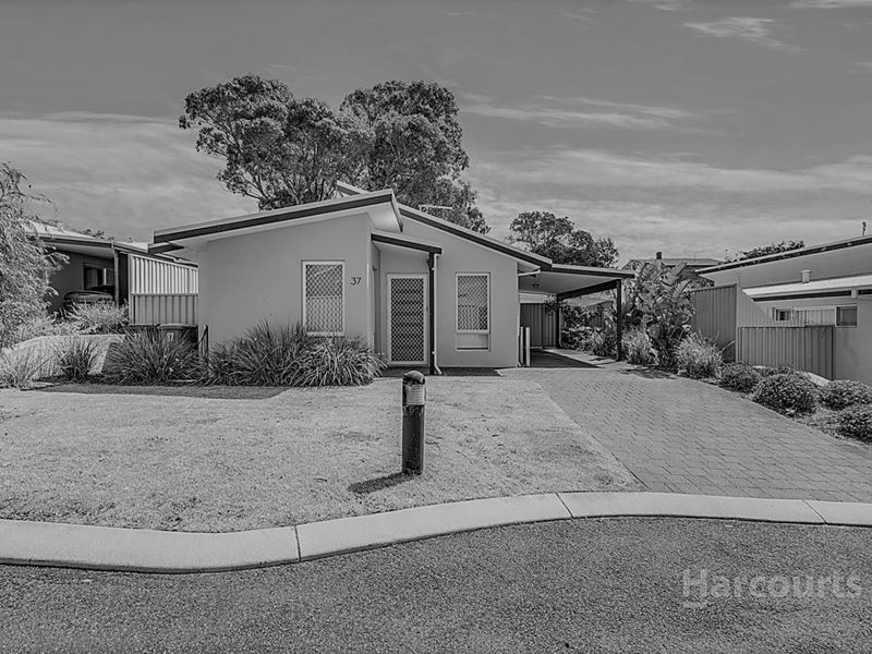 37 Ferguson Street, Falcon