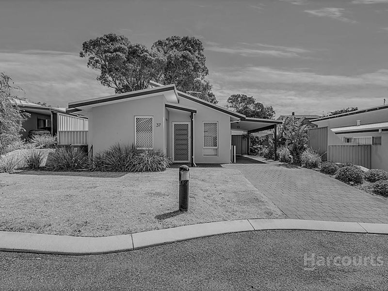 37 Ferguson Street, Falcon WA 6210