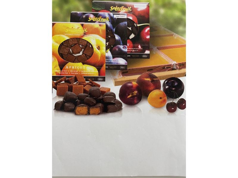 Retail - FRUIT LEATHER MANUFACTURING BUSINESS