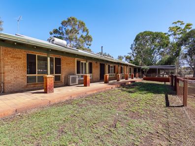 24 SWAMP GUM, Oakford WA 6121