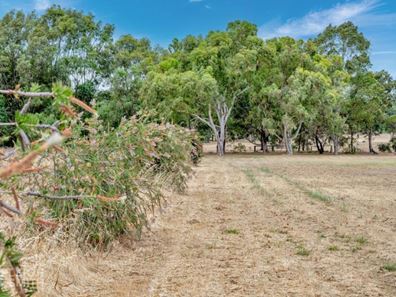 Lot 7,  Brookside Grange, Waroona WA 6215