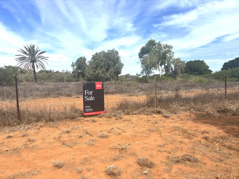 590 Robinson Street, Carnarvon