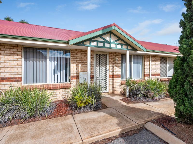 17/1 Ochiltree Street, Somerville