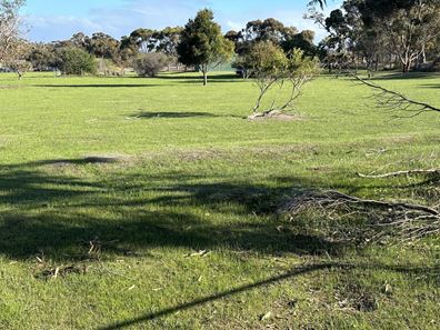 Lot 49,  Tieline Road, Broomehill Village WA 6318
