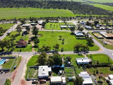 11 Linthorne Street, Mingenew WA 6522