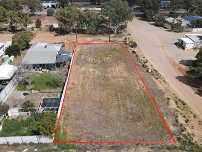 23 Ganzer Street, Wongan Hills WA 6603