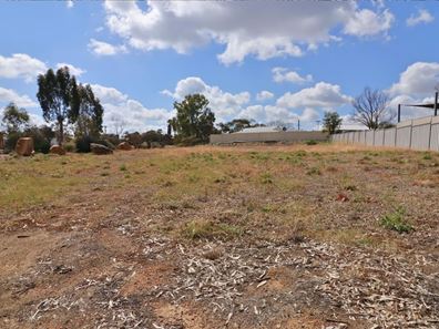 23 Ganzer Street, Wongan Hills WA 6603