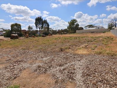 23 Ganzer Street, Wongan Hills WA 6603