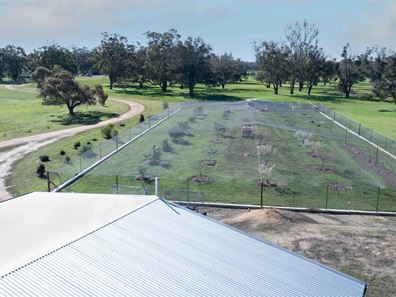594 Poorrarecup Road, Frankland River WA 6396