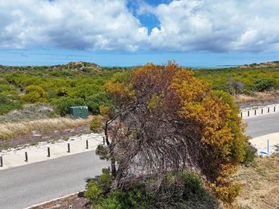 Lot 1032, 121 Beachridge Drive, Jurien Bay WA 6516