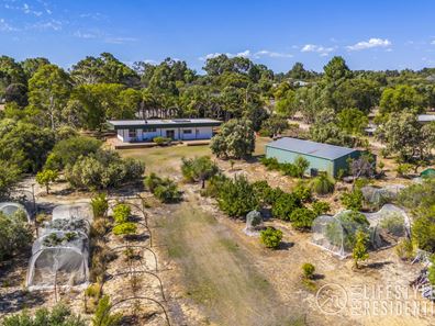 175 Woolly Bush Loop, Woodridge WA 6041