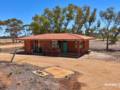 14 Insignia Way, Merredin WA 6415