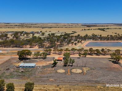 14 Insignia Way, Merredin WA 6415