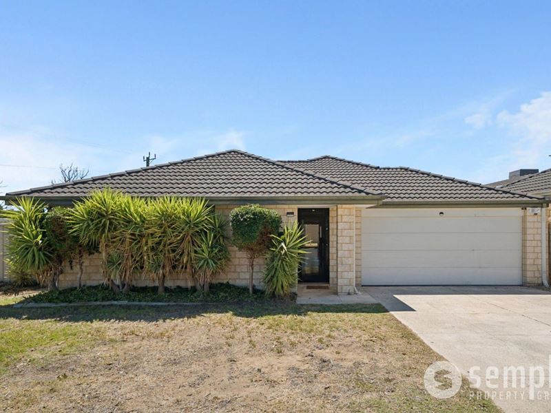 10 Branch Circus, Success WA 6164