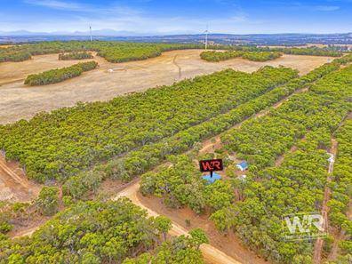 10 Worth Court, Mount Barker WA 6324