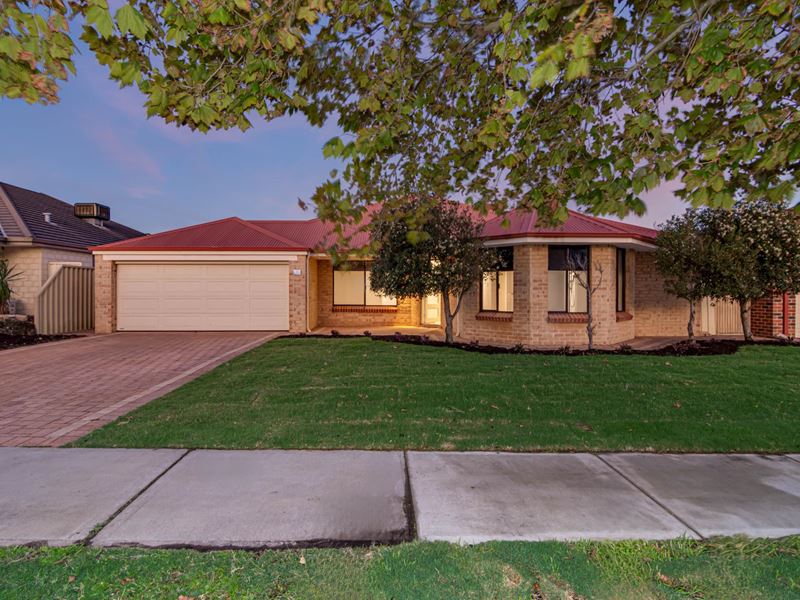 12 Warnford Street, Butler WA 6036