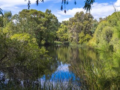 38 Rosebery Street, Jolimont WA 6014
