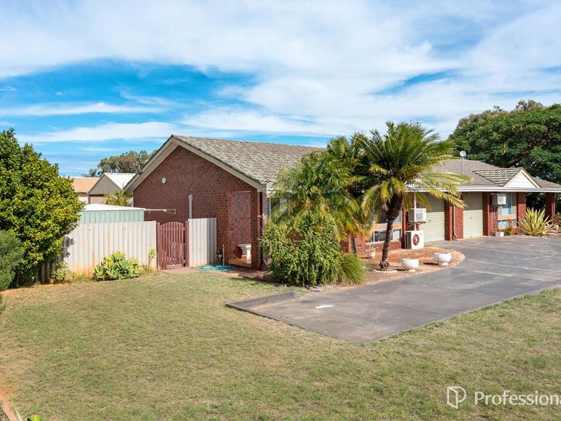 3/234 Place Road, Wonthella