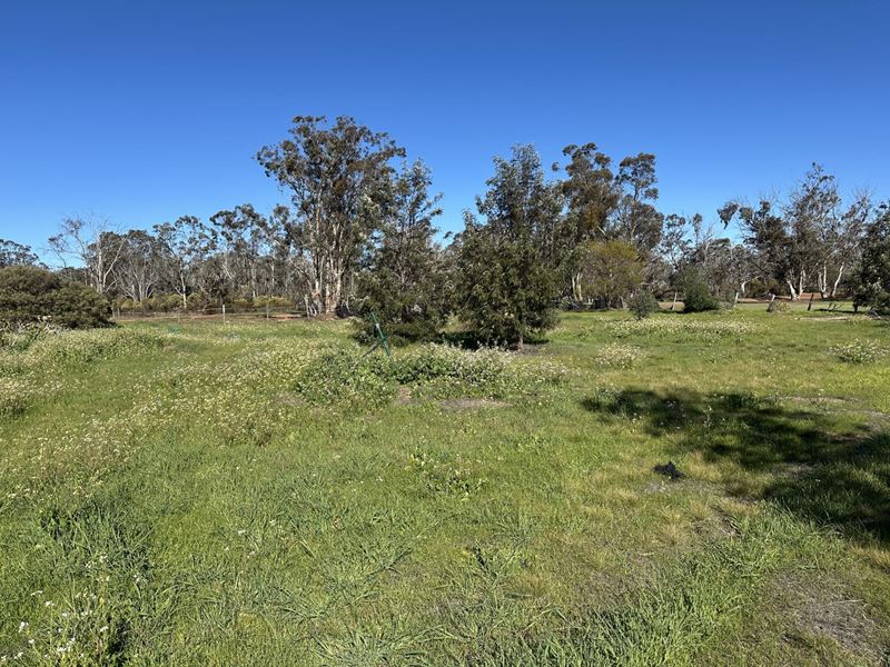 20 Jewel  Street, Broomehill Village