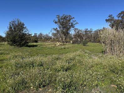 20 Jewel  Street, Broomehill Village WA 6318
