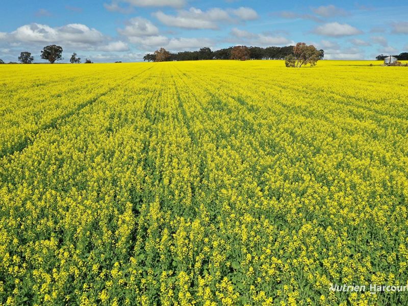 10986 Great Northern Highway, New Norcia WA 6509