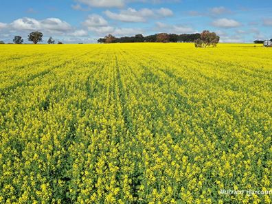 10986 Great Northern Highway, New Norcia WA 6509