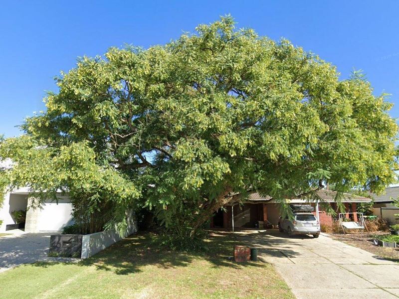 44A Warragoon Crescent, Attadale WA 6156