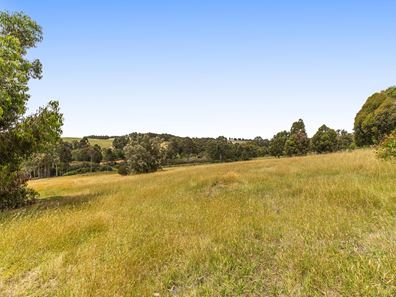 Lot 9 Buckley Road, Nannup WA 6275