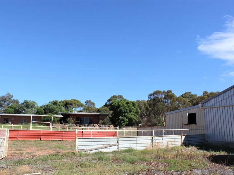 19 Spice Road, Bindoon