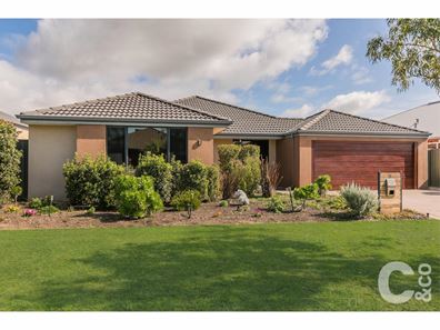 8 Sistene Street, Baldivis WA 6171