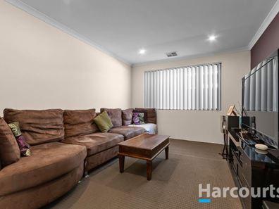 12 Sanderling Street, Alkimos WA 6038