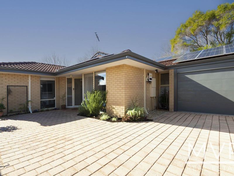 4B Tipuana Green, O'Connor