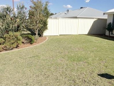 3 Potter Way, Pinjarra WA 6208