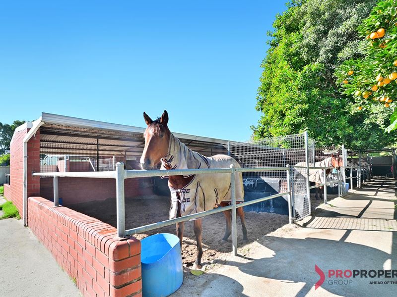 54 Matheson Road, Ascot