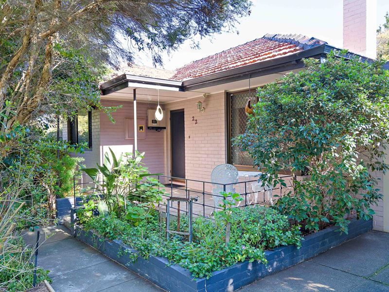 22 Halstead  Street, Hamilton Hill