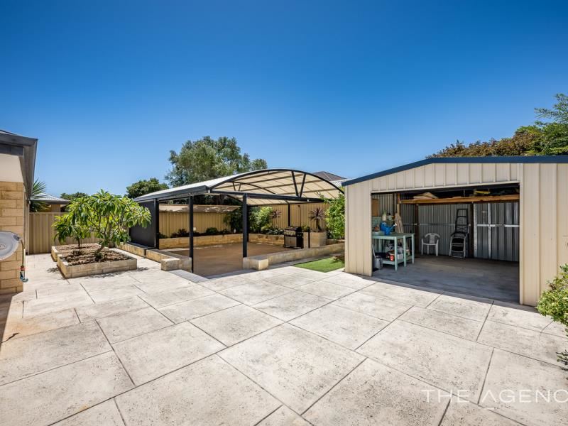 3 Odiham Way, Butler WA 6036