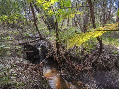 Lot 25 Balmoral Drive, Quindalup WA 6281