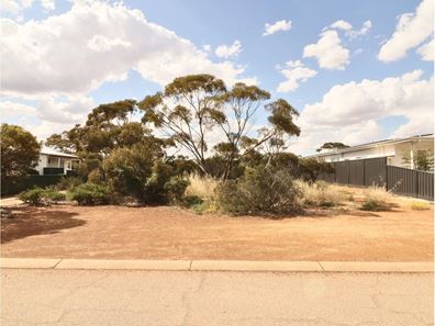 8 Shields Crescent, Wongan Hills WA 6603