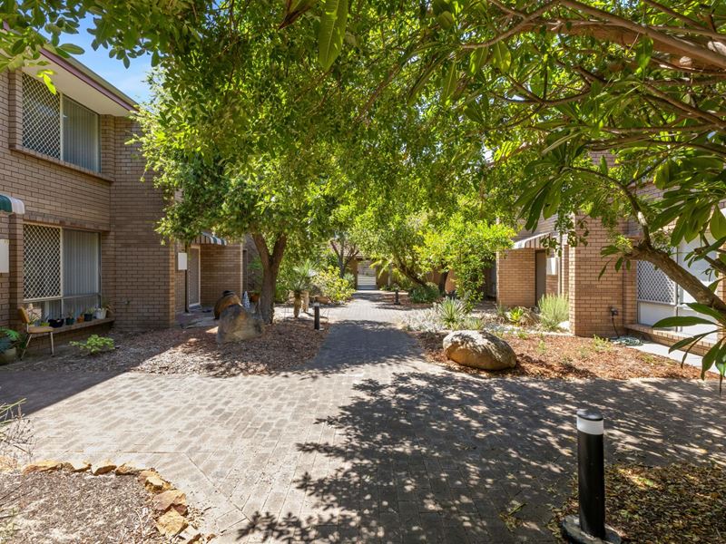 11/323 Stirling Street, Highgate WA 6003