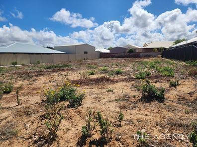 5 Gliddon Avenue, Kalbarri WA 6536