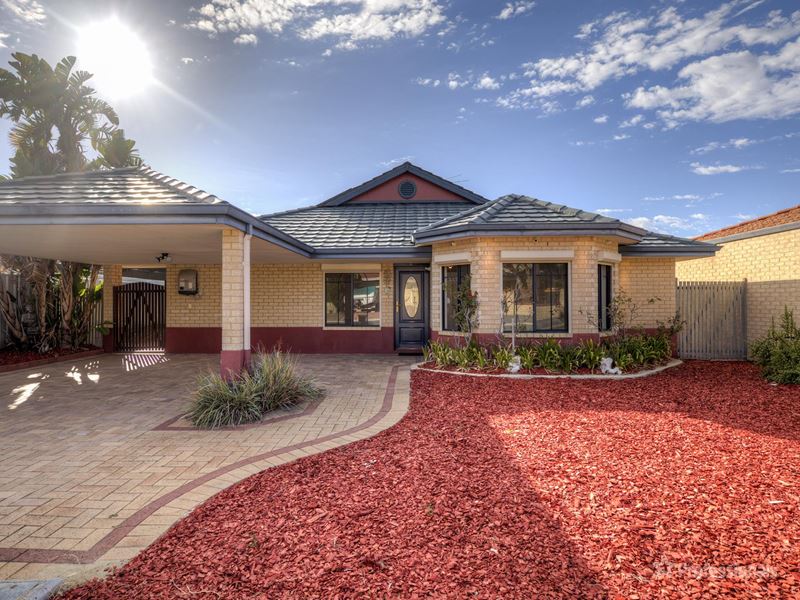 41 Princeton Circle, Alexander Heights WA 6064