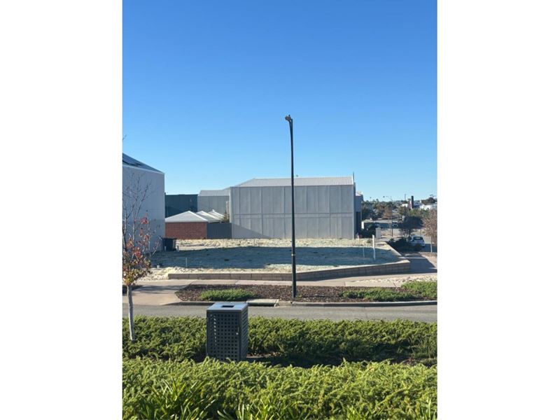 46 Barque Avenue, Ellenbrook WA 6069