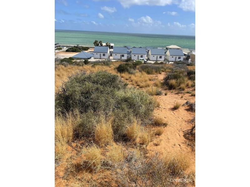 17 Mainland Street, Denham WA 6537